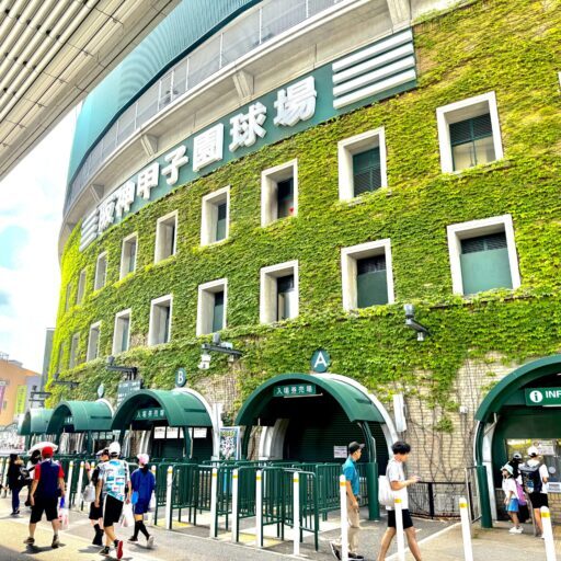 夏の甲子園の組み合わせが決定❗️優勝校と初戦の勝敗を予想します❗️